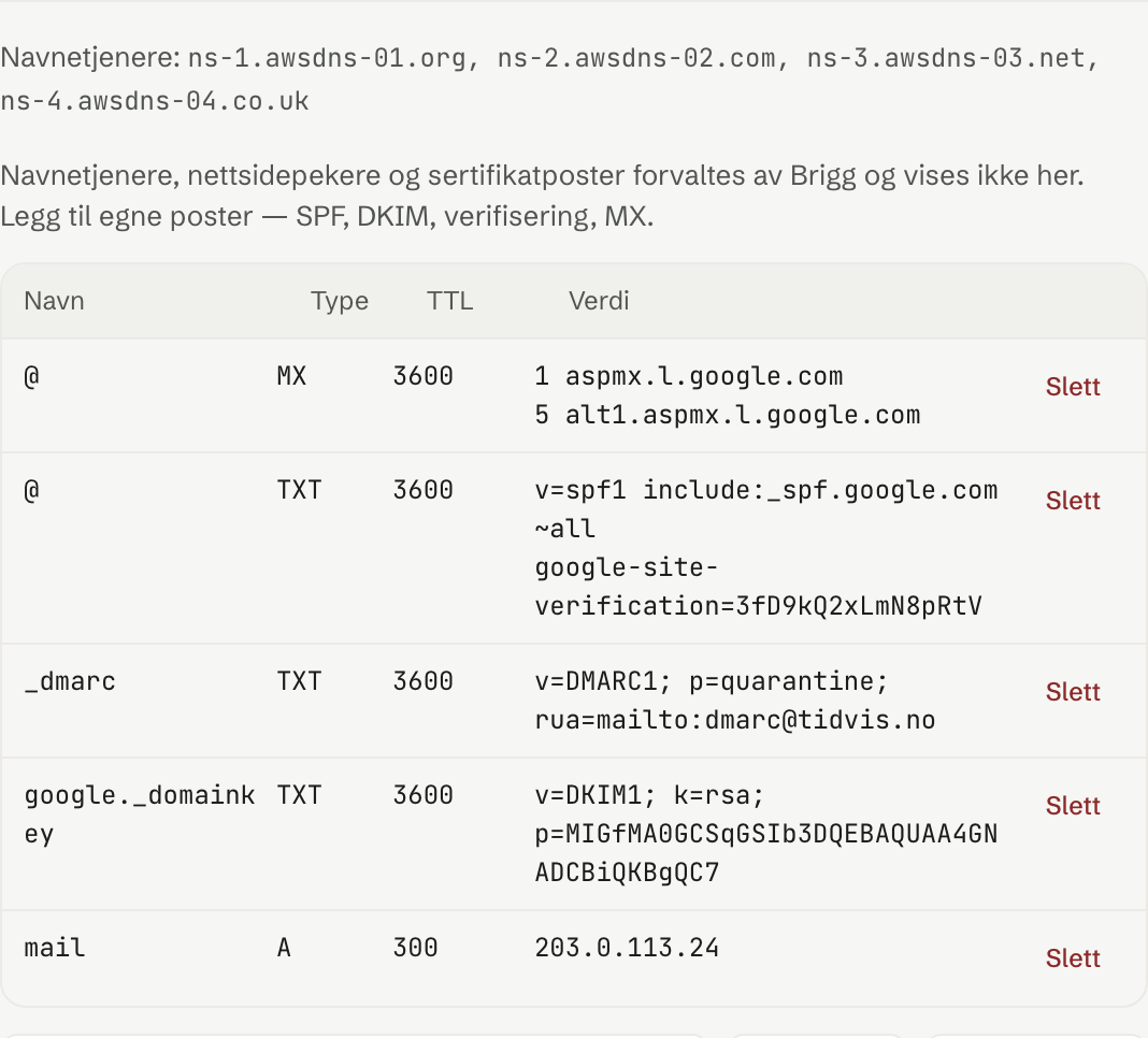 DNS-postene for et domene kjøpt gjennom Brigg — e-post, verifisering og nettside styrt herfra.